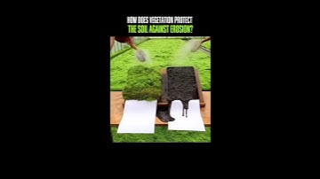 Nature’s Last Defense: Why Soil Erosion Control is Our Secret Weapon