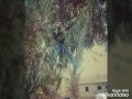 اغنية خذاهم الموت الله يرحمهم اغنية خذاهم الموت الله يرحمهم