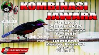 KOMPILASI MASTERAN KONIN JAWARA ANTI KONDANGAN FULL ISIAN MEWAH PEMBARUAN MANTAP UNTUK MASTERAN
