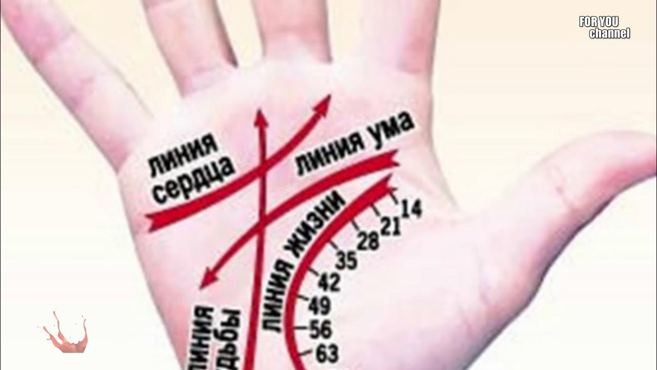 Линия жизни датировка хиромантия. Как узнать сколько я проживу. Хиромантия датировка по линии жизни. Линия жизни на руке. Линия жизни на ладони.