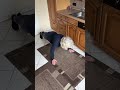 Oma Haut Einfach Liegestütz Raus Oma Witzig Lustig Sport Funny