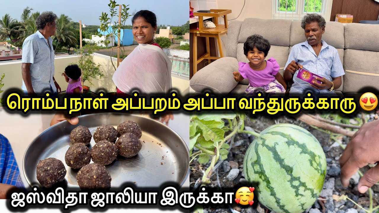 ரொம்ப நாள் அப்பறம் அப்பா வந்துருக்காரு 😍 ஜஸ்விதா ஜாலியா இருக்கா🥰 | Sangeetha Vinoth | #tamilvlog
