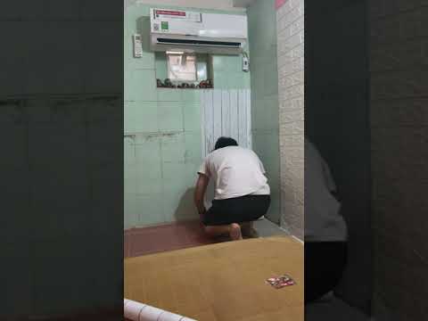 Video: Phòng Của Scheffler