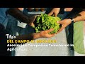 Del Campo al Mercado: Asociación Campesina Transforma la Agricultura - TvAgro por Juan Gonzalo Angel