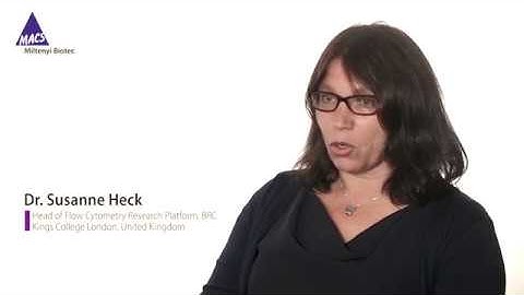 Why are recombinant antibodies important