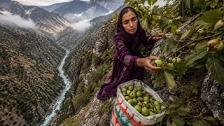 🏔️❤️ Parvaneh; The Brave Woman of the Zagros Searching for Walnuts 🌰