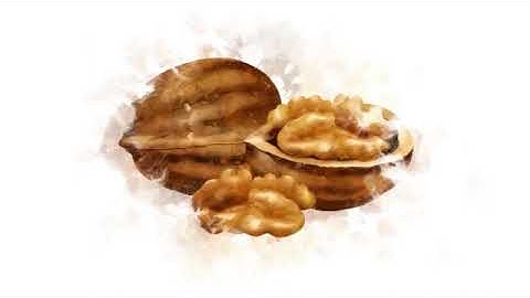 "Welcome to POT — Proof of Transaction, redefining trust in Web3 payments. In a world of digitalilty