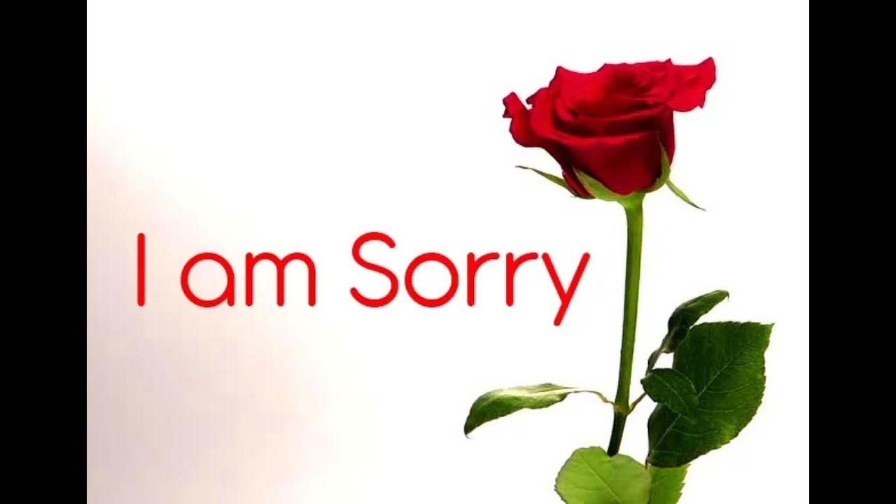 How to say sorry. Sorry. say sorry. песня l am sorry. regrets картинка.