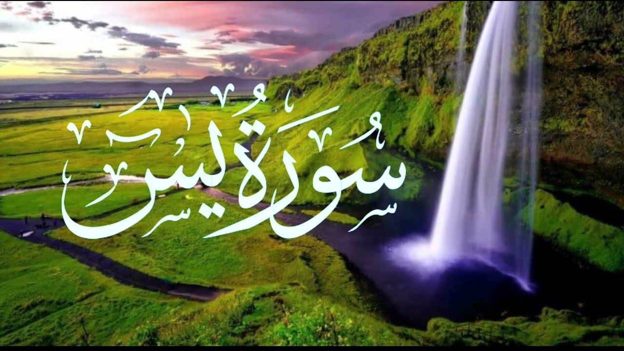 Mira Surah Yaseen Yasin | Surat yaseen | Qul sharif | Droode Taj | Quran Recitation | Beautiful Quran en YouTube Mira Surah Yaseen Yasin | Surat yaseen | Qul sharif | Droode Taj | Quran Recitation | Beautiful Quran en YouTube