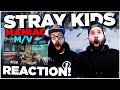 The BROS REACT to Stray Kids "MANIAC" M/V | (REACTION!!)