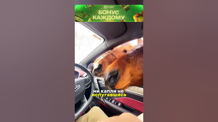 😳Как остановить коня?
