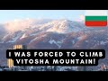 I Was Forced To Climb Vitosha Mountain (Vitosha, Bulgaria)