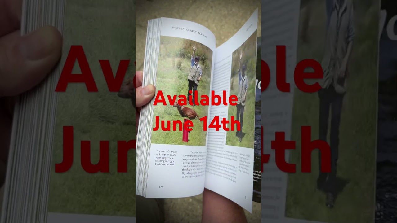Practical Gundog Training &hellip;available 14th June. #dogtraining #gundogtraining #gundog