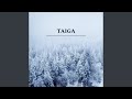 Taiga