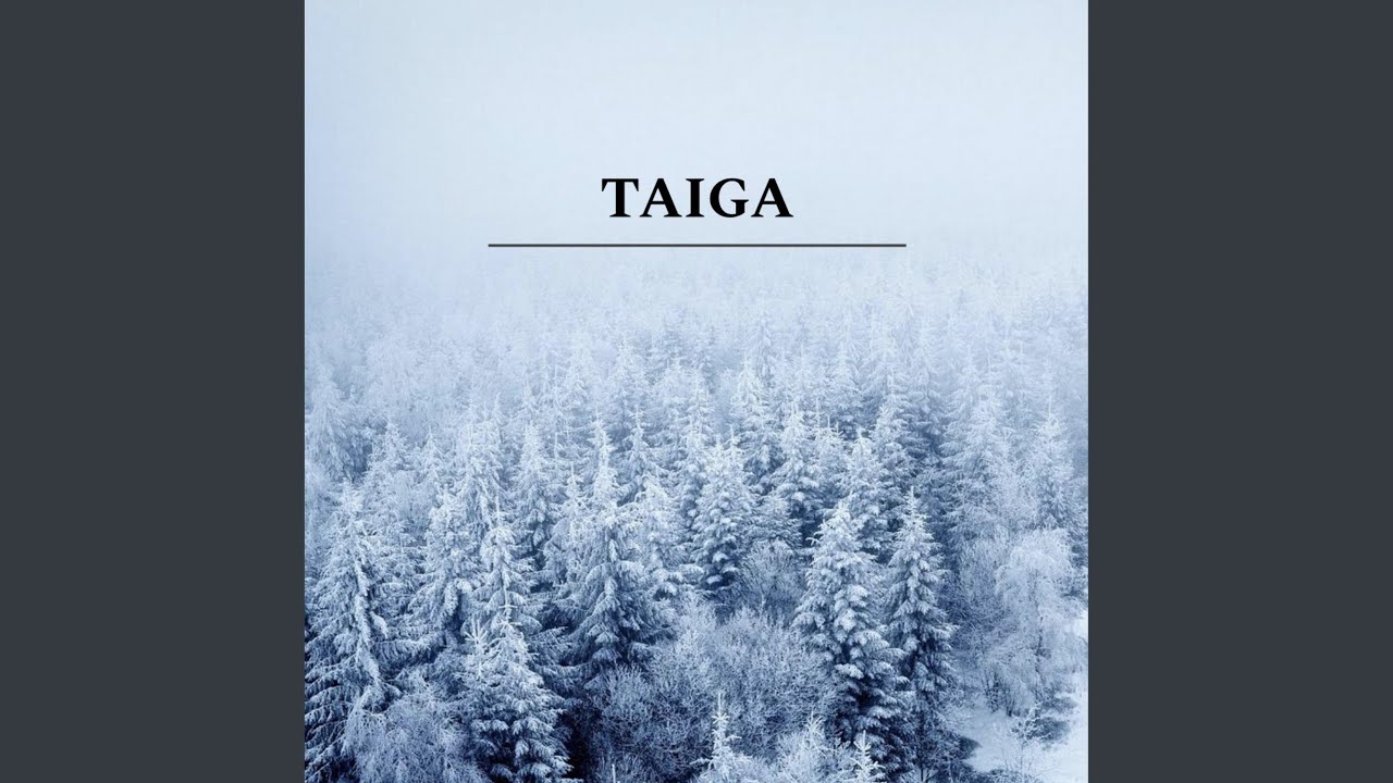 Watch Taiga on YouTube Watch Taiga on YouTube