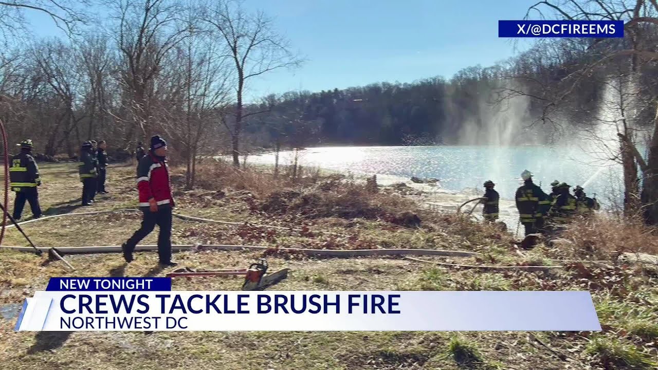 DC firefighters tackle New Year's Day brush fire - YouTube