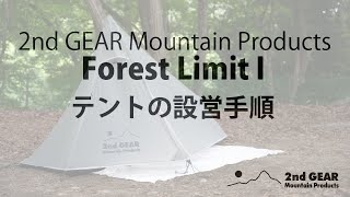 Forest Limit I