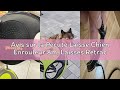 Avis sur la Pecute Laisse Chien Enrouleur 8m, Laisses Rétractables pour Chiens(Jusqu'à 30Kg), avec U