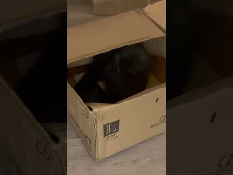 New Box Inspection