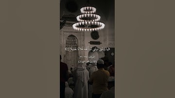 القارئ : محمد اللحيدان [الفرقان : 27 - 30]