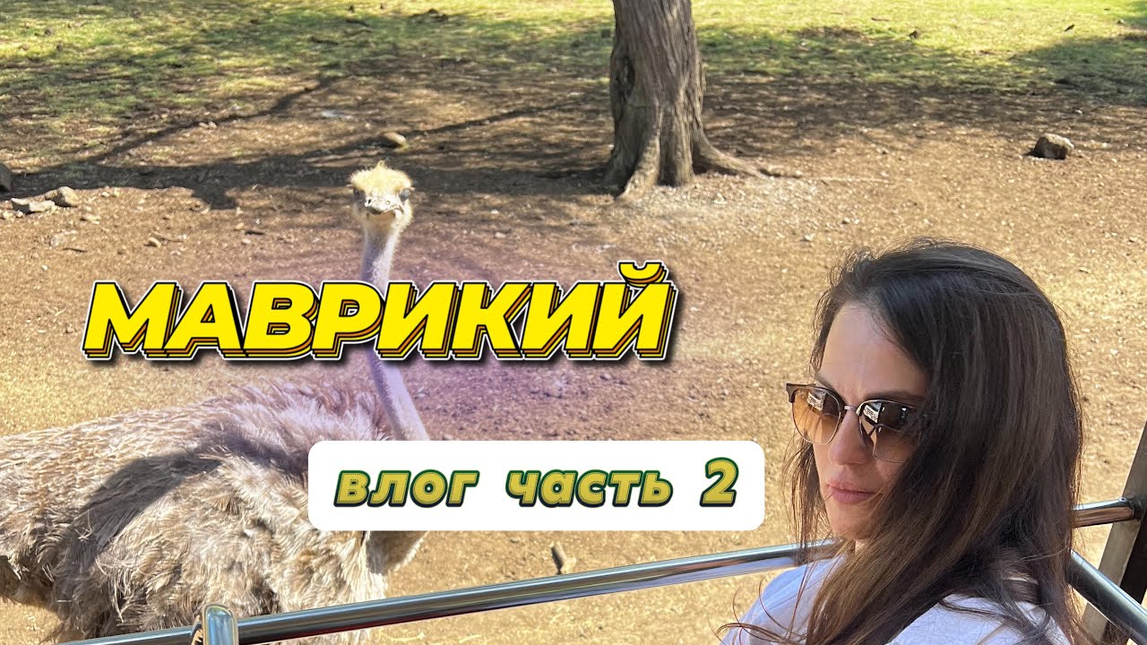 Сафари на Маврикии. Самое тусовочное место Маврикия