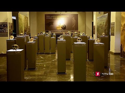 ვიდეო: მუზეუმი ერთი დღით