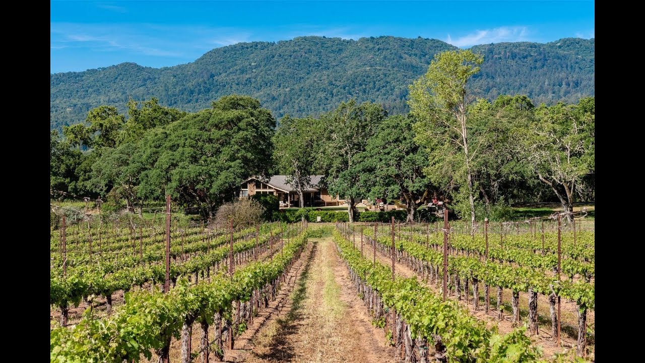 Exquisite Vineyard in Glen Ellen, California Sotheby's International Realty YouTube