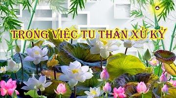 Trong Việc Tu Thân Xử Kỷ