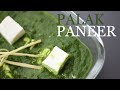 Restaurantstyle palak paneer cooking tips  palak ki sabji  spinach  sayalis kitchenette  ep87