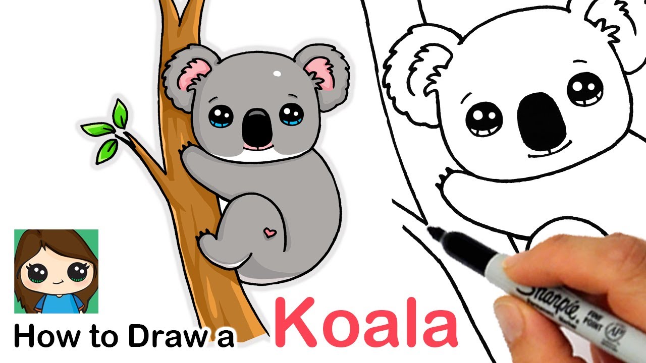 How to Draw a Koala - YouTube