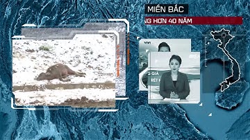 SMEDEC 2   Biến đổi khí hậu và tác động tại Việt Nam