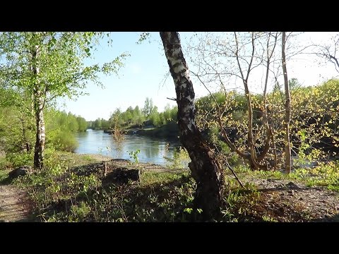 Βίντεο: Ποταμός Plyussa: χαρακτηριστικά, φωτογραφίες, αναψυχή και ψάρεμα