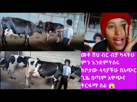 ቪዲዮ: በጣም ስራ የበዛበት ነው ወይስ ስራ የበዛበት?