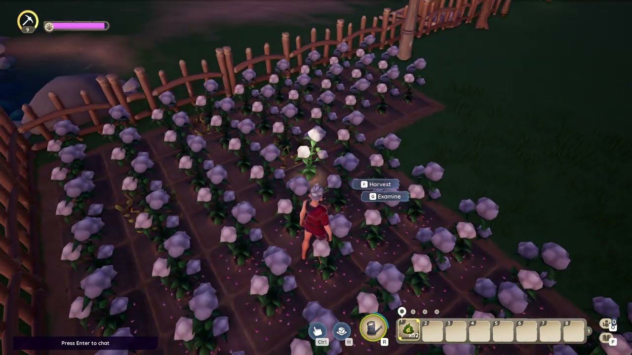 Gathering crops after using HarvestBoost Fertilizer - 10000 Gold off Cotton, Palia