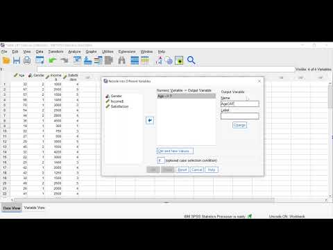 Module 1-5B: Recode into Same and Different Variable