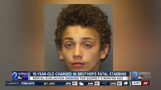 15-year-old Belcamp teen charged with murder in stabbing death of his brother