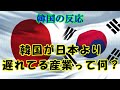【韓国の反応】韓国が日本より遅れてる産業って何？【韓国人の反応・海外の反応】