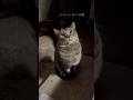 つくしちゃん おはよう