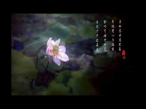自作多情