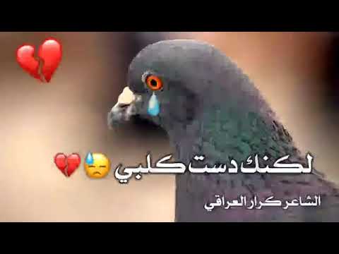 گال انته اعز الناس ل ۆ ماضروفك گتله اختصر شتريد گال ارد اعوفك صدوق