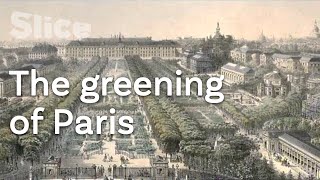Evolution of green spaces in the French capital | SLICE