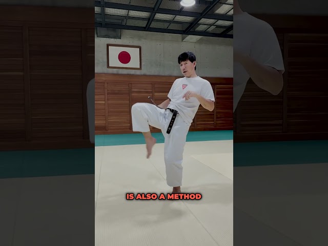 Adjust the distance of the kick with your ankle [ Budo Karate ]