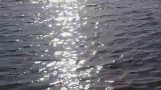 Болгария 2012г Тузла, нудистский пляж3(, 2013-11-03T19:03:29.000Z)