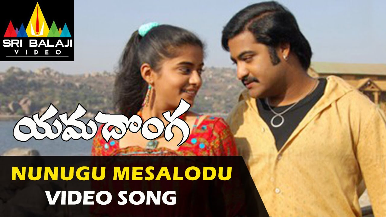 Yamadonga Video Songs  Nunugu Misalodua Video Song  JrNTR Priyamani  Sri Balaji Video