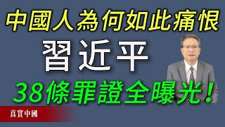 中國人為何如此痛恨習近平？習近平38條罪證全曝光！《真實中國 》