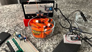 MEGR 3171 Pet Monitoring System Iot Project