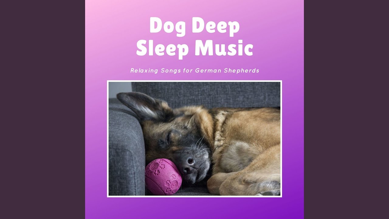 Relaxing Song for German Shepherds