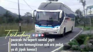 Cocok buat story wa bus sinar jaya xhd