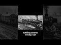 How Ordinary Flour Blew Up A Nazi Train  #soe #ww2sabotage #ww2 #alliedsecretweapons #soegadgets