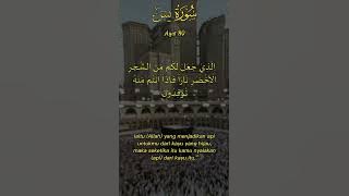 Yasin Ayat 80